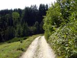 Pratomagno