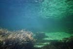 Lampedusa, deep in the blue
