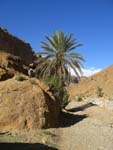 Gorges of Todra