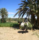 Women and mule, Ziz Valley