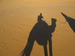 shadows on the send