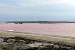 Salt fields in Camargue