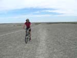 in Camargue