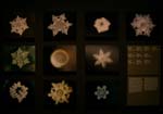 Biennal of Architecture, how the shape of a crystall of water changes depending on where is coming from (Masaru Emoto)