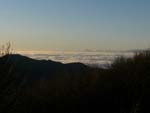 Apuane from Falterona
