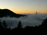 Fog in Falterona