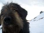 the owner of Rossi mountain hut, Apuane