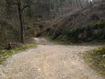 Route for mtb, Rosano