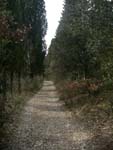 Route for mtb, Rosano