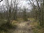Route for mtb, Rosano