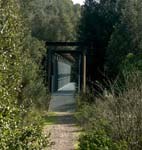 the bridge of railway, Radi