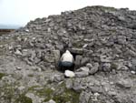 Carrowkeel
