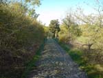 Biking around Volterra, Tuscany