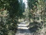 Between Pontassieve and Firenze
