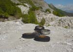 Marble horror picture show: animal tracks in Apuane