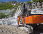 Marble horror picture show: wild animal in Apuane