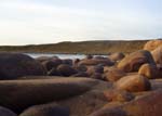 Redpoint