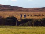 disorienteering