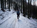 near Consuma, winter