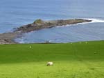 around Kilkar co. Donegal