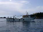 back in the harbour, tyrrhenian