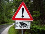 warning, frogs!