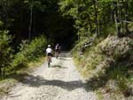 Pomino-consuma tour