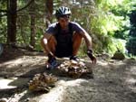 Huge, strange mushroom
