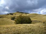 Alpe di succiso
