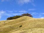 Alpe di succiso