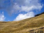 Alpe di succiso