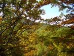 Fall on Alpe di Succiso