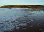 Red Point