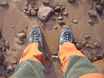 feet