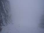 Winter in Falterona