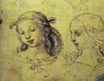 Faces from Raffaello, Perugia