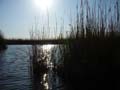 massaciuccoli