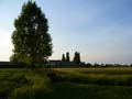 around Mantova