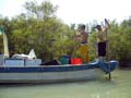 fishing the wels catfish (in italian Siluro), Po river