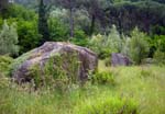 Marnia, standing stones