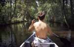 Friesland, Nederland; canoeing like in Borneo