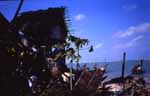 Koh Samui, Thailand; fisherman boats close the muslim village