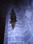 Embalmed crocodile on a column in Saint-Bertrand de Comminges, sleeping under the dust of crystallized centuries