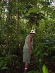 My guide in the jungle (seeking little frogs), Costarica