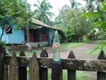 Costarica, western track (even here!)