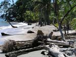 Caribbean beach, Costarica