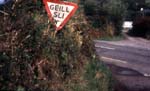 Irish tag