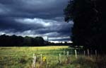 Killarney, Ireland; light before the storm
