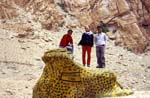 Khardung frog... and friends...