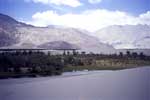 Nubra valley, Ladakh; oasis here???